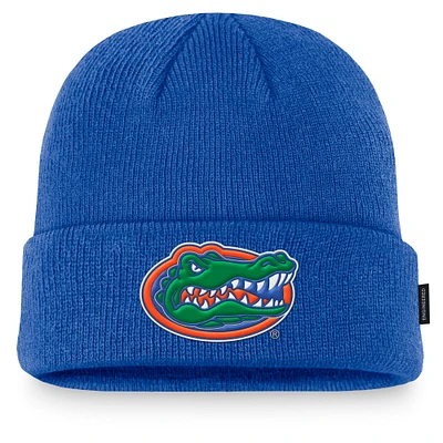 Men's Jordan Brand  Royal Florida Gators On-Field Terra Waffle Cuffed Knit Hat