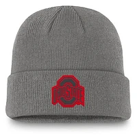 Men's Nike  Gray Ohio State Buckeyes 2024 Sideline Faded Terra Cuffed Knit Hat