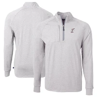 Men's Cutter & Buck  Heather Gray Albuquerque Isotopes Adapt Eco Knit Big Tall Quarter-Zip Pullover Top