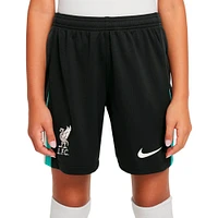 Youth Nike Navy Liverpool 2024/25 Away Stadium Shorts