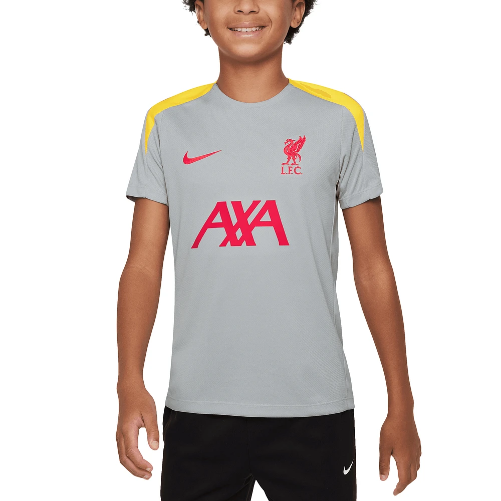 Youth Nike Gray Liverpool 2024/25 Third Strike Top