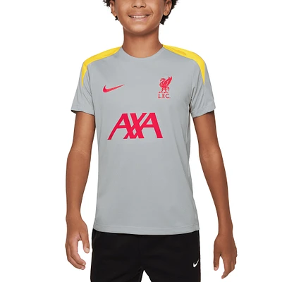 Youth Nike Gray Liverpool 2024/25 Third Strike Top