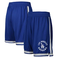 Youth Fanatics Royal Los Angeles Dodgers Hit Home Mesh Shorts