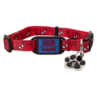 Loungefly  Spider-Man Dog Collar
