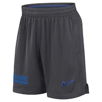 Men's Nike Charcoal Air Force Falcons 2024 Sideline Mesh Shorts