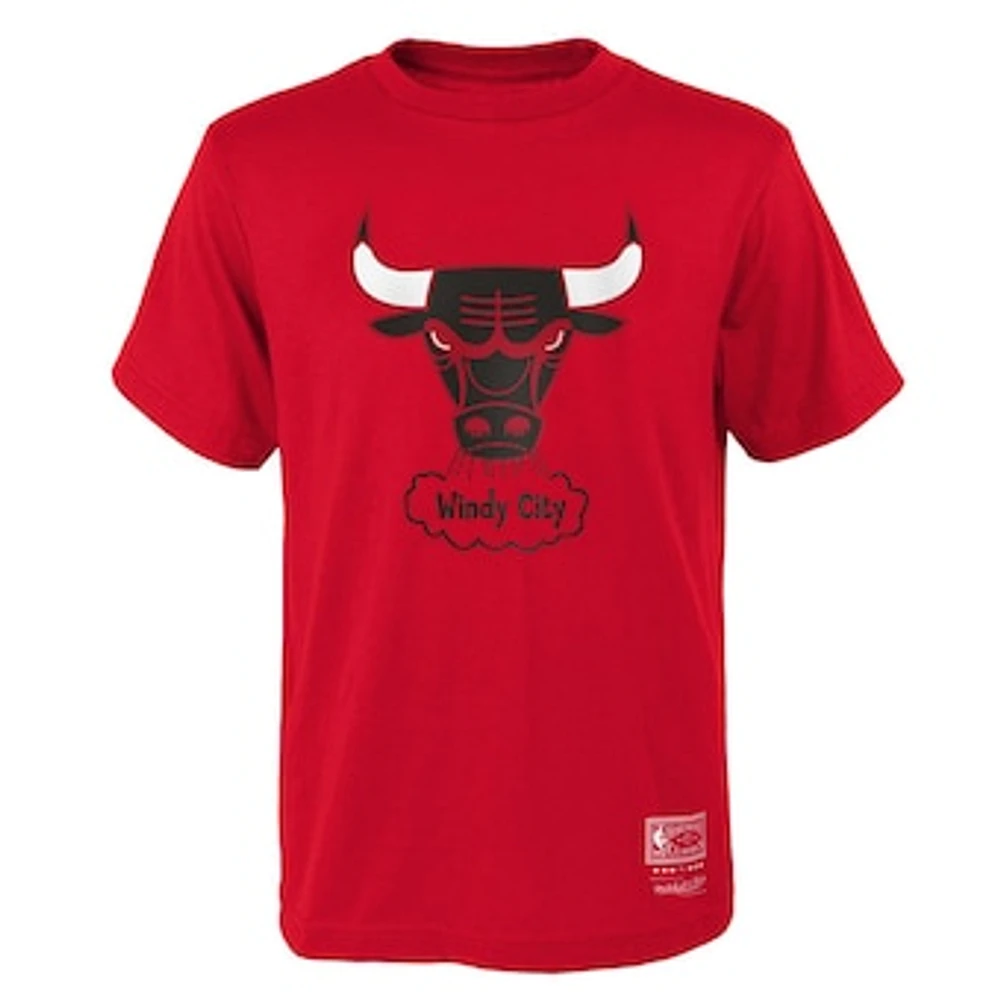 Youth Mitchell & Ness Red Chicago Bulls Hardwood Classics Retro Logo T-Shirt