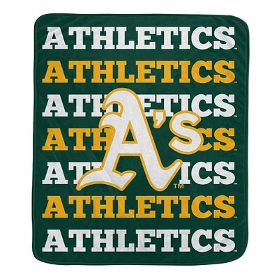 Pegasus Athletics 60'' x 70'' Logo Wordmark Plush Blanket