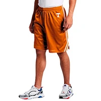 Men's Fanatics Tennessee Orange Volunteers Big & Tall Dual Stripe Mesh Short