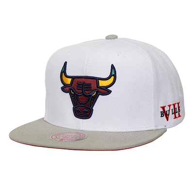 Men's Mitchell & Ness White/Gray Chicago Bulls Core Snapback Hat