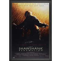 Tim Robbins Autographed Framed The Shawshank Redemption 27" x 40" Movie Poster