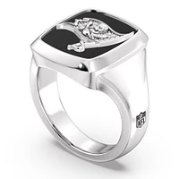 True Fan Tampa Bay Buccaneers Fans Diamond Ring