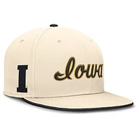 Men's Nike Natural Iowa Hawkeyes Primetime True Performance Fitted Hat