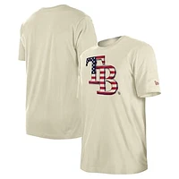 Men's New Era Cream Tampa Bay Rays Americana Flag Fill T-Shirt