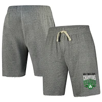 Men's Concepts Sport Gray Boston Celtics 2024 NBA Finals Champions Mainstream Terry Shorts