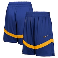 Youth Nike Royal Golden State Warriors Practice Mesh Shorts