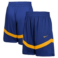 Youth Nike Royal Golden State Warriors Practice Mesh Shorts