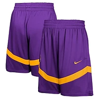 Youth Nike Purple Los Angeles Lakers Practice Mesh Shorts