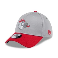 Men's New Era  Gray/Red Philadelphia Phillies 2025 Batting Practice 39THIRTY Flex Hat