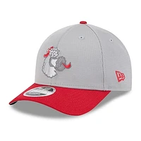 Men's New Era  Gray/Red Philadelphia Phillies 2025 Batting Practice 9FORTY M-Crown Adjustable Hat