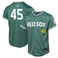 Youth Nike Pedro Martinez Green Boston Red Sox 2025 City Connect Limited Retired Player Jersey