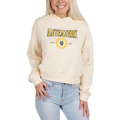 Unisex Uscape Apparel Cream UC Irvine Anteaters Washed Pullover Hoodie