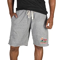 Men's Concepts Sport Gray Carolina Hurricanes Mainstream Tri-Blend Shorts