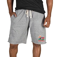 Men's Concepts Sport Gray Carolina Hurricanes Mainstream Tri-Blend Shorts