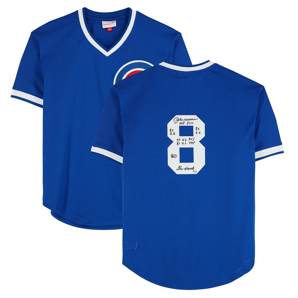 Andre Dawson Chicago Cubs Autographed Royal Mitchell & Ness Batting Practice Replica Jersey with Multiple Career Stats Inscriptions - Limited Edition 10