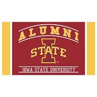 Iowa State Cyclones 28" x 16" Alumni Turf Door Mat
