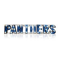 Imperial Carolina Panthers 53" x 9" Lighted Recycled Metal Sign