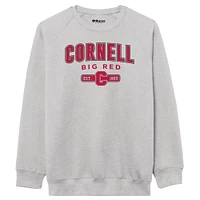 Men's League Collegiate Wear  Heather Gray Cornell Big Red Essentials 2.0 Pullover Sweatshirt