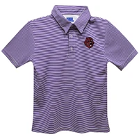 Youth Vive La Fete  Purple City College of New York Beavers Pencil Stripe Polo