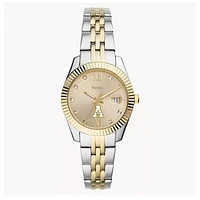 Women's Fossil Appalachian State Mountaineers Scarlette Two-Tone Stainless Steel Watch