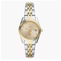 Women's Fossil Arizona State Sun Devils Scarlette Two-Tone Stainless Steel Watch