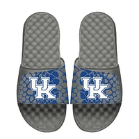 Unisex ISlide  Kentucky Wildcats Year Of The Snake Slide Sandals