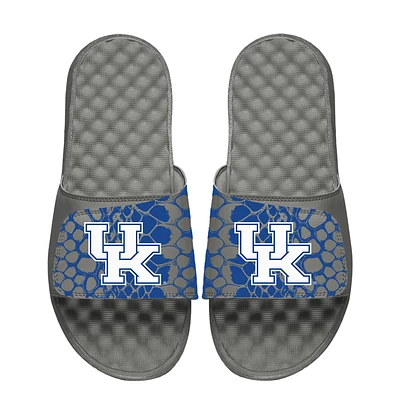 Unisex ISlide  Kentucky Wildcats Year Of The Snake Slide Sandals