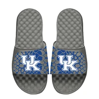 Unisex ISlide  Kentucky Wildcats Year Of The Snake Slide Sandals