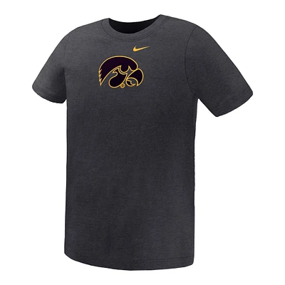 Preschool Nike Charcoal Iowa Hawkeyes Legend Color Pop Performance T-Shirt