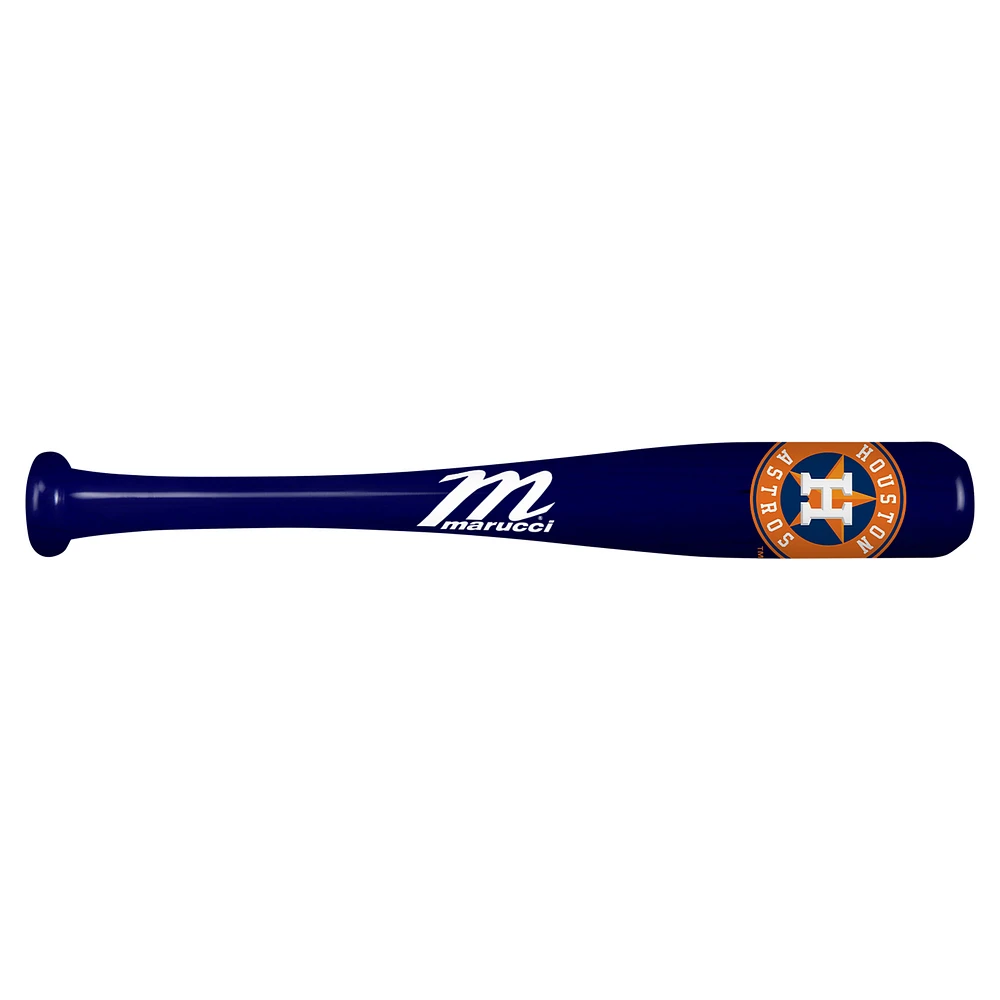 Houston Astros Mini Souvenir Bat