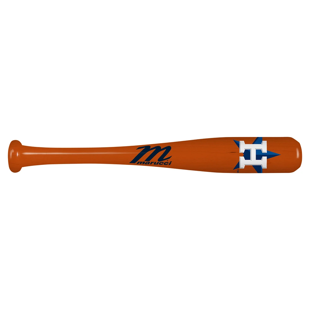 Houston Astros Mini Souvenir Bat
