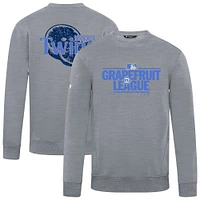 Men's Levelwear Gray Minnesota Twins 2025 Spring Training Zane Pullover Sweatshirt