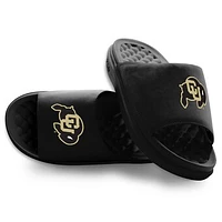 Unisex ISlide Black Colorado Buffaloes Primary Motive Slide Sandals