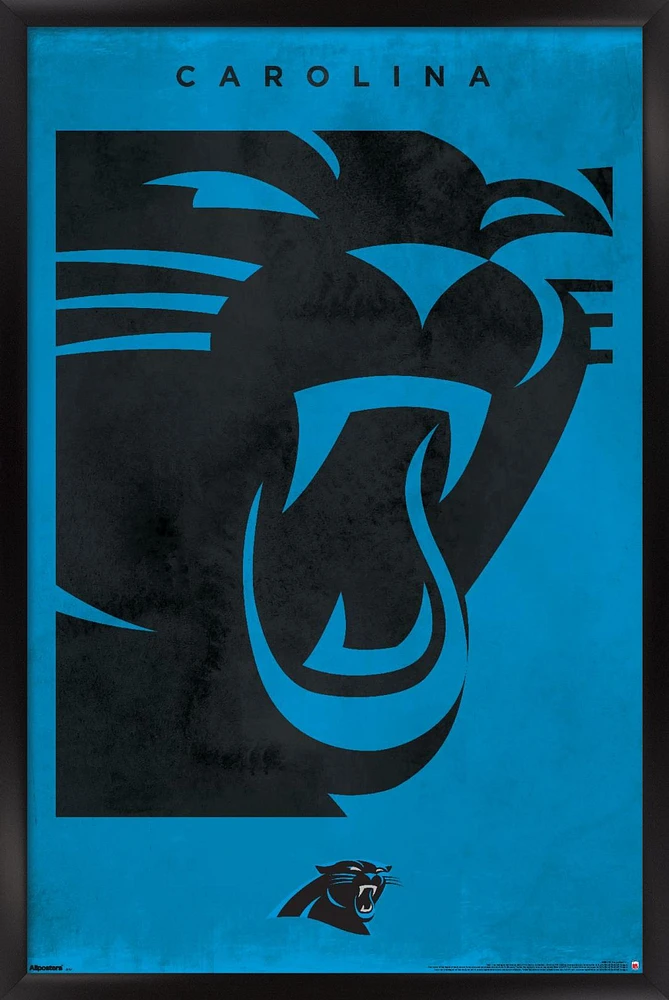 Carolina Panthers 24" x 36" Framed Poster