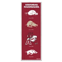 WinCraft Arkansas Razorbacks 6" x 17" Logo Evolution Wood Sign