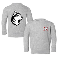 Toddler Chad & Jake Heather Gray Northeastern Huskies Primary Logo Pullover Sweatshirt
