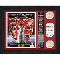 Highland Mint Florida Panthers 2025 Stanley Cup Champions 13" x 16" Banner Bronze Coin Photo Mint