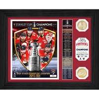 Highland Mint Florida Panthers 2025 Stanley Cup Champions 13" x 16" Banner Bronze Coin Photo Mint