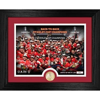 Highland Mint Florida Panthers 2025 Stanley Cup Champions 13" x 16" Celebration Photo Bronze Coin Mint