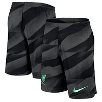 Men's Nike Anthracite Liverpool 2023/24 Stadium Goalkeeper Performance Shorts