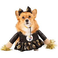 Pittsburgh Steelers Cheer Dog Costume